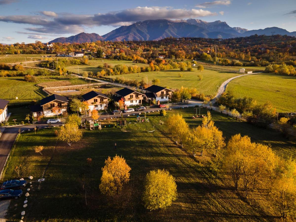 Green Resort Bran Бран Екстериор снимка