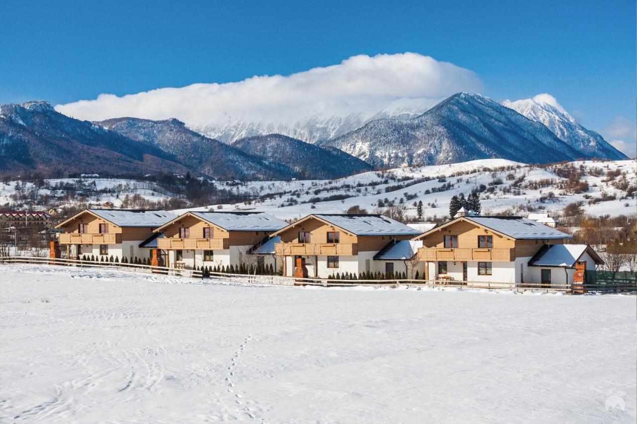 Green Resort Bran Бран Екстериор снимка