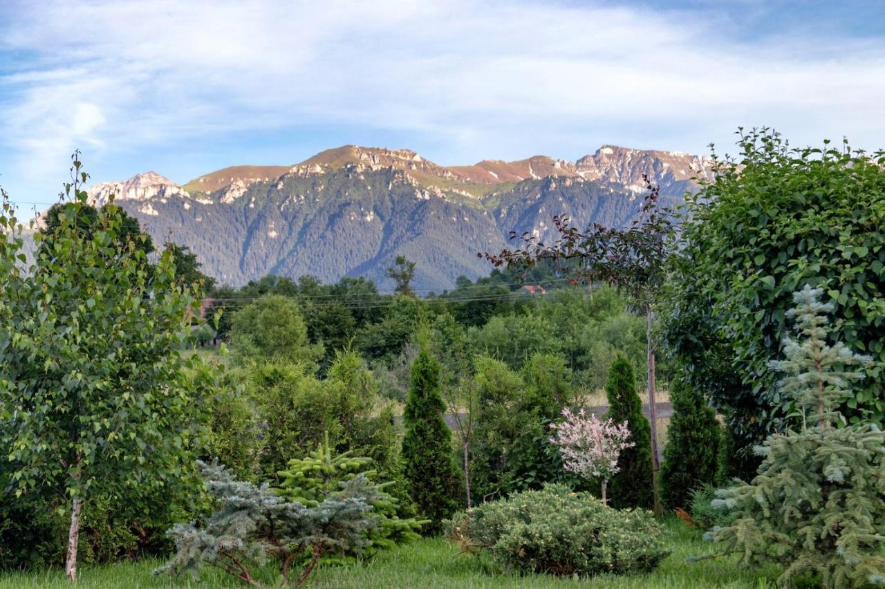 Green Resort Bran Бран Екстериор снимка