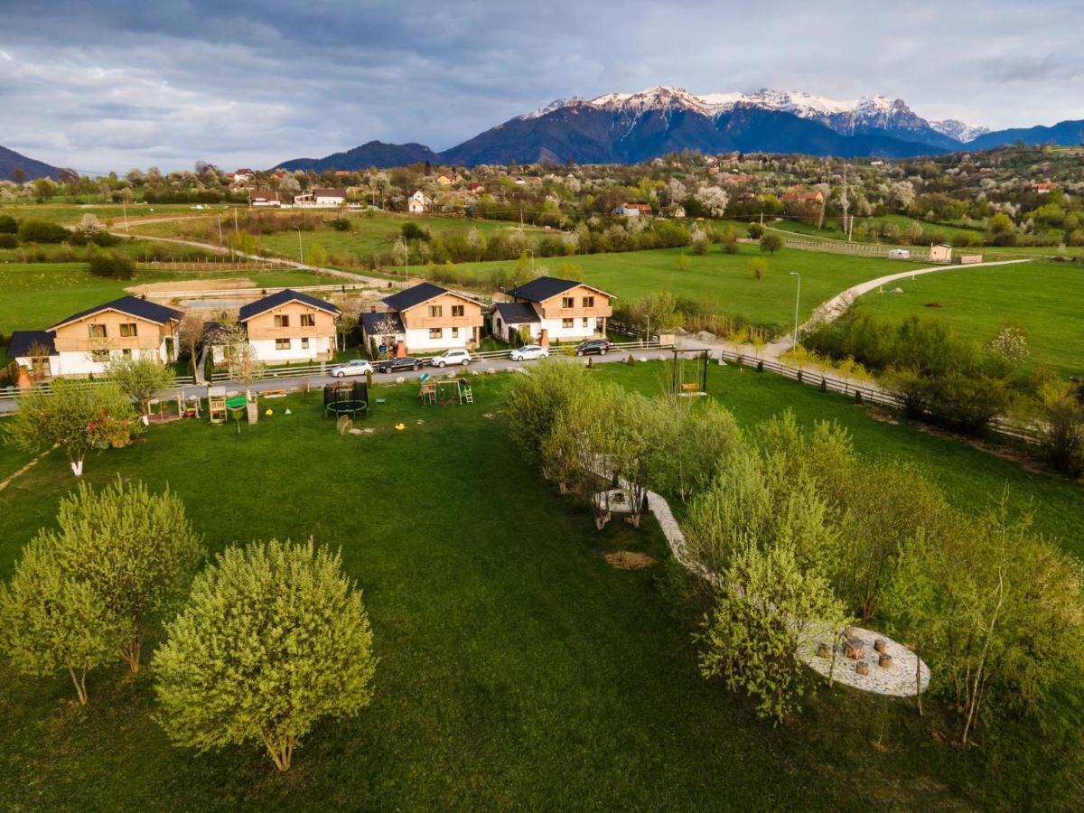 Green Resort Bran Бран Екстериор снимка