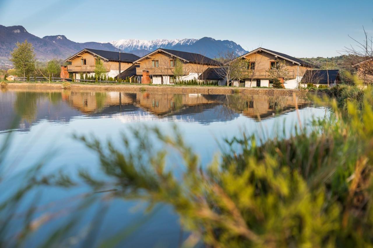 Green Resort Bran Бран Екстериор снимка