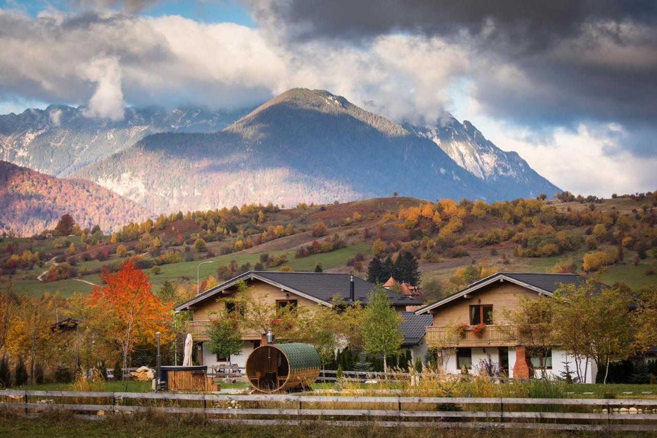 Green Resort Bran Бран Екстериор снимка