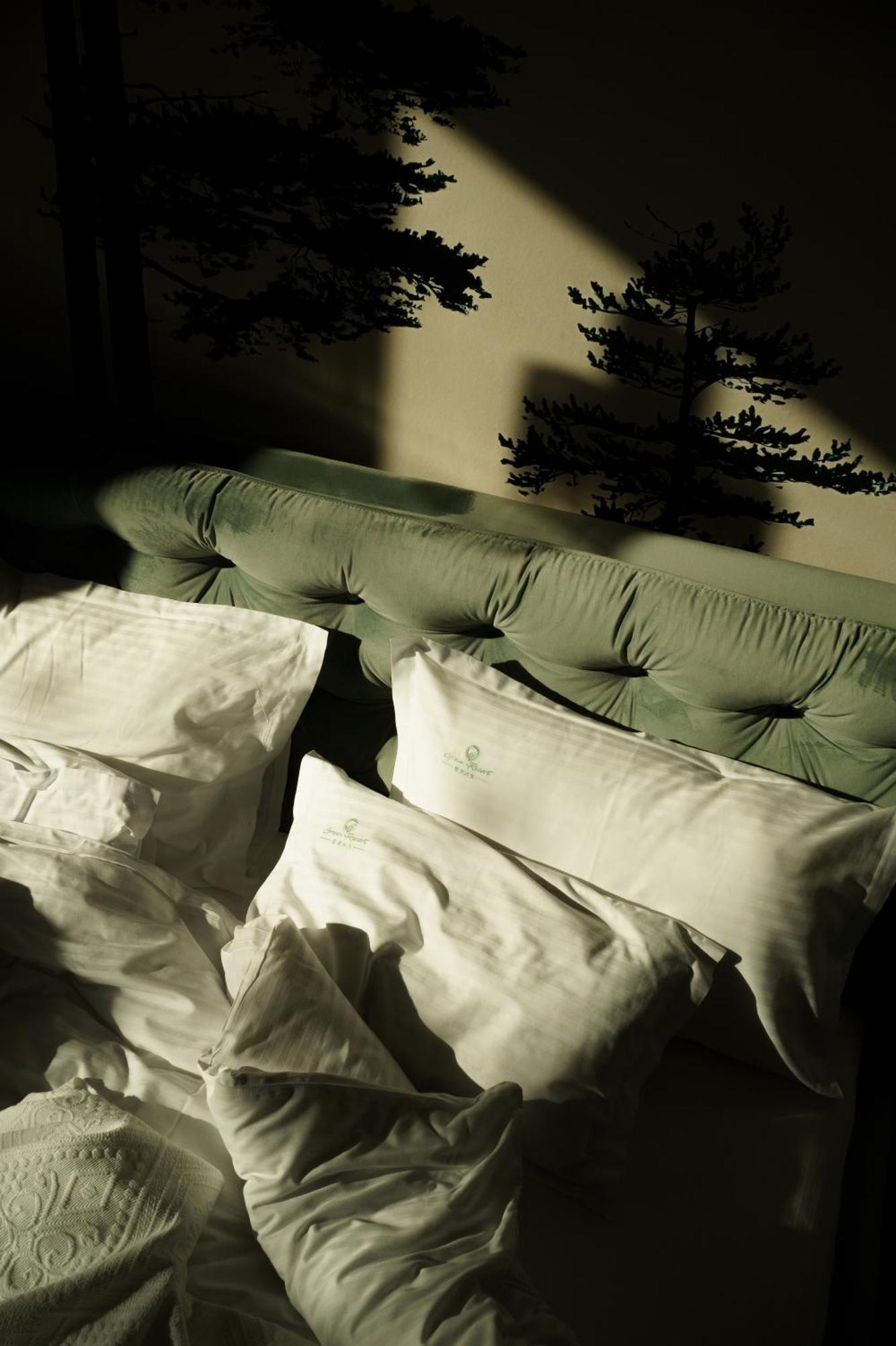 Green Resort Bran Бран Екстериор снимка