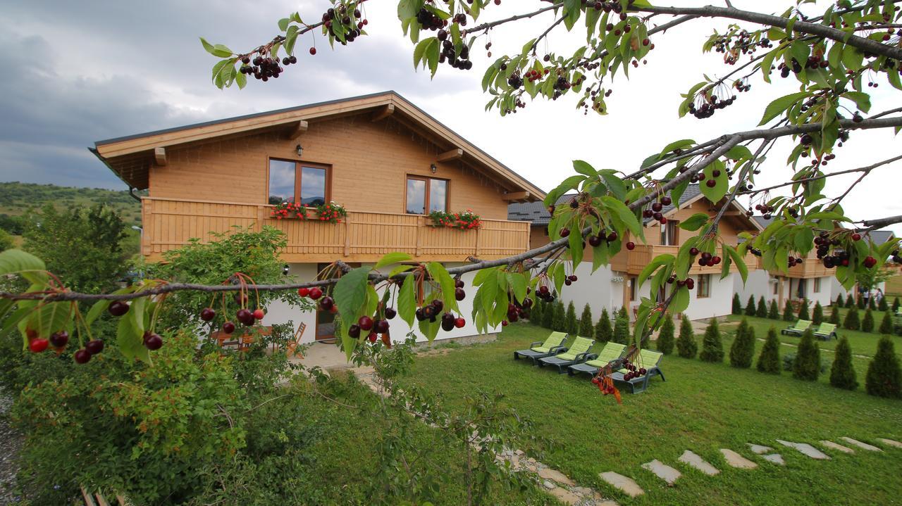 Green Resort Bran Бран Екстериор снимка